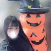 ヒメ日記 2025/10/30 17:19 投稿 こねこ スピードエコ日本橋店