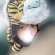 ヒメ日記 2025/10/31 09:59 投稿 こねこ スピードエコ日本橋店