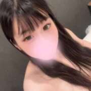 ヒメ日記 2025/11/01 09:49 投稿 こねこ スピードエコ日本橋店