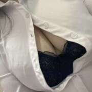 ヒメ日記 2025/11/07 14:09 投稿 こねこ スピードエコ日本橋店