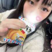 ヒメ日記 2025/11/11 12:29 投稿 こねこ スピードエコ日本橋店