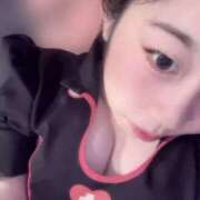 ヒメ日記 2025/11/13 11:29 投稿 こねこ スピードエコ日本橋店