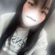 ヒメ日記 2025/11/28 12:39 投稿 こねこ スピードエコ日本橋店