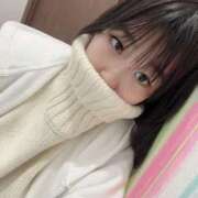 ヒメ日記 2025/11/28 16:09 投稿 こねこ スピードエコ日本橋店