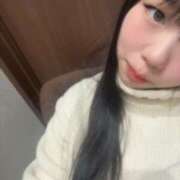 ヒメ日記 2025/12/01 08:19 投稿 こねこ スピードエコ日本橋店