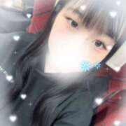 ヒメ日記 2025/12/30 06:39 投稿 こねこ スピードエコ日本橋店