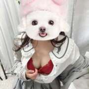 ヒメ日記 2025/09/07 06:00 投稿 なな ZERO