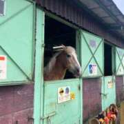 ヒメ日記 2025/10/18 14:54 投稿 なみ チェックイン横浜女学園