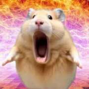 ヒメ日記 2026/03/09 12:48 投稿 小野 池田マッサージ