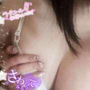 ヒメ日記 2026/04/18 10:16 投稿 はるか サマンサ(和歌山)