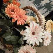 ヒメ日記 2025/10/19 15:03 投稿 くみ モアグループ 土浦人妻花壇