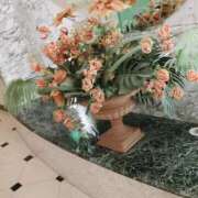 ヒメ日記 2025/11/03 01:18 投稿 くみ モアグループ 土浦人妻花壇