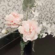 ヒメ日記 2025/11/15 15:27 投稿 くみ モアグループ 土浦人妻花壇