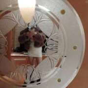 ヒメ日記 2025/11/19 13:12 投稿 くみ モアグループ 土浦人妻花壇