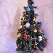 ヒメ日記 2025/11/22 22:51 投稿 くみ モアグループ 土浦人妻花壇