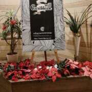 ヒメ日記 2025/11/30 02:27 投稿 くみ モアグループ 土浦人妻花壇