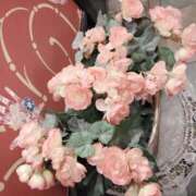 ヒメ日記 2025/12/10 16:57 投稿 くみ モアグループ 土浦人妻花壇