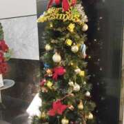 ヒメ日記 2025/12/24 13:03 投稿 くみ モアグループ 土浦人妻花壇