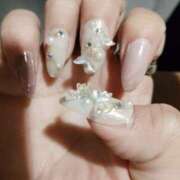 ヒメ日記 2025/12/26 20:03 投稿 くみ モアグループ 土浦人妻花壇