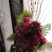 ヒメ日記 2025/12/27 17:12 投稿 くみ モアグループ 土浦人妻花壇