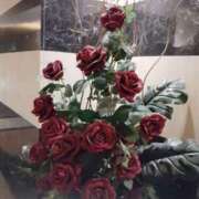 ヒメ日記 2025/12/29 03:27 投稿 くみ モアグループ 土浦人妻花壇