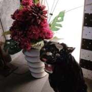 ヒメ日記 2026/01/07 19:33 投稿 くみ モアグループ 土浦人妻花壇