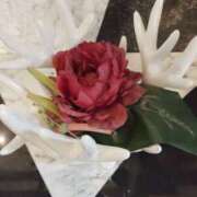 ヒメ日記 2026/01/08 01:51 投稿 くみ モアグループ 土浦人妻花壇