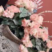 ヒメ日記 2026/01/26 18:18 投稿 くみ モアグループ 土浦人妻花壇