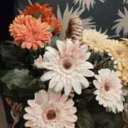 ヒメ日記 2026/02/17 22:51 投稿 くみ モアグループ 土浦人妻花壇