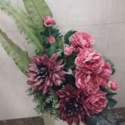 ヒメ日記 2026/02/27 16:18 投稿 くみ モアグループ 土浦人妻花壇