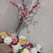 ヒメ日記 2026/03/01 15:06 投稿 くみ モアグループ 土浦人妻花壇