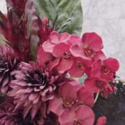 くみ Newシーズ利用のK様に🍀お礼日記🍀 モアグループ 土浦人妻花壇