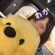 ワカ【FG系列】 おーしまいっ デリぽちゃin柏（FG系列）