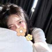 ヒメ日記 2026/04/12 09:35 投稿 姉小路しおん OL精薬