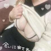 ヒメ日記 2025/10/03 14:27 投稿 こむぎ ふわふわコレクション川越店