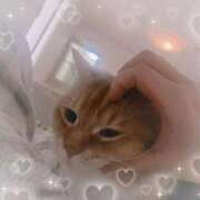 ヒメ日記 2025/10/14 18:21 投稿 こむぎ ふわふわコレクション川越店