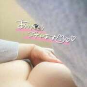 ヒメ日記 2025/11/11 15:47 投稿 こむぎ ふわふわコレクション川越店