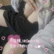 ヒメ日記 2025/11/29 12:27 投稿 こむぎ ふわふわコレクション川越店