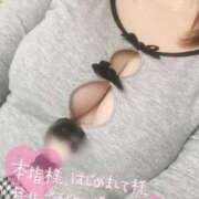 ヒメ日記 2026/01/29 12:50 投稿 こむぎ ふわふわコレクション川越店