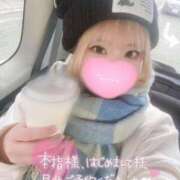 ヒメ日記 2026/01/30 12:20 投稿 こむぎ ふわふわコレクション川越店