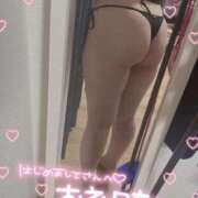 ヒメ日記 2026/01/31 13:10 投稿 こむぎ ふわふわコレクション川越店