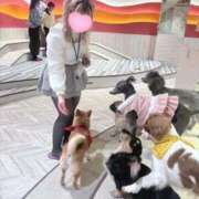 ヒメ日記 2026/02/08 14:50 投稿 こむぎ ふわふわコレクション川越店