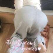 ヒメ日記 2026/03/02 00:00 投稿 こむぎ ふわふわコレクション川越店