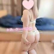ヒメ日記 2026/05/02 15:24 投稿 こむぎ ふわふわコレクション川越店
