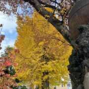 ヒメ日記 2025/12/03 10:24 投稿 桐生 熟女の風俗最終章 横浜本店