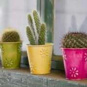 桐生 ありがとうございました🐾 熟女の風俗最終章 横浜本店