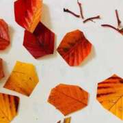 ヒメ日記 2025/12/07 20:44 投稿 桐生 熟女の風俗最終章 横浜本店