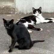 ヒメ日記 2025/09/06 10:12 投稿 まな先生 DANDY BODY