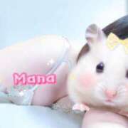 ヒメ日記 2025/09/17 15:55 投稿 まな先生 DANDY BODY