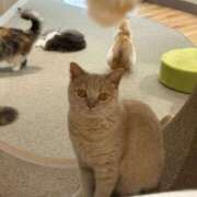 ヒメ日記 2025/09/29 13:45 投稿 まな先生 DANDY BODY